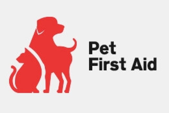 Pet First Aid